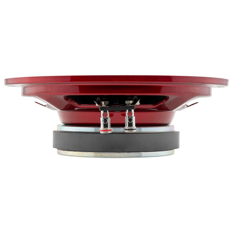 DS18 8in 250 Watts RMS 2 ohm Mid-Range Loudspeaker Shallow