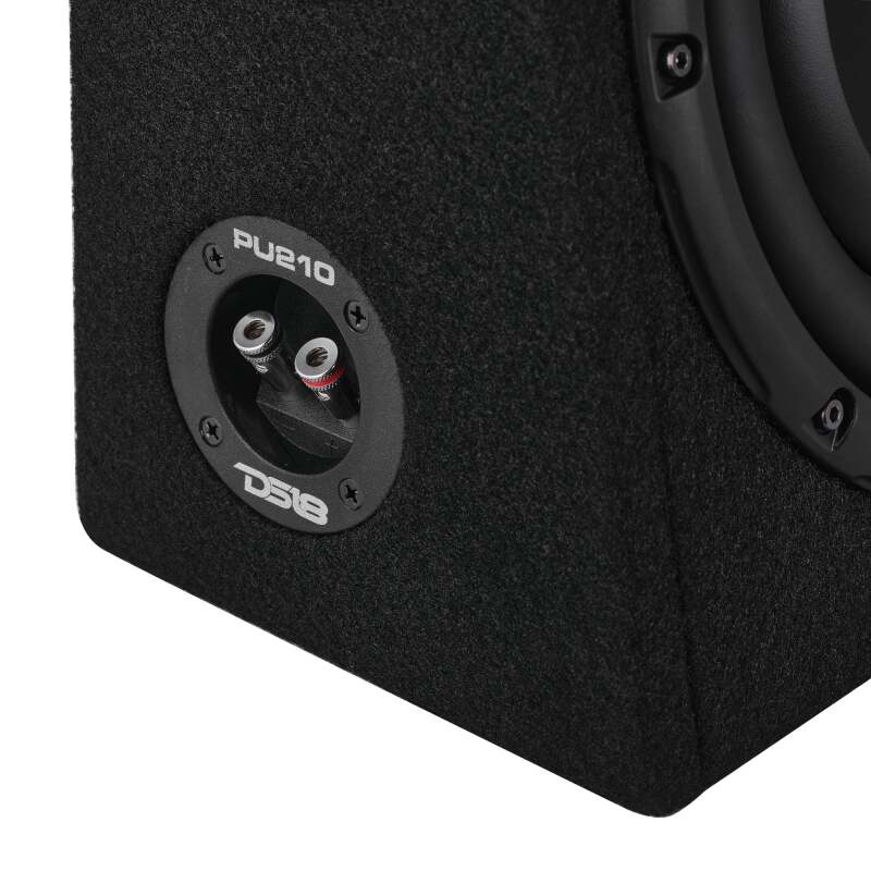 DS18 Dual 10in Shallow Enclosure w/ Subwoofer 350 Watts RMS Sealed Black Carpet