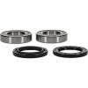 Pivot Works Premium Wheel Bearing