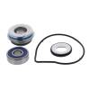 Vertex Gaskets 00-01 Yamaha SX500R Water Pump Rebuild Kit