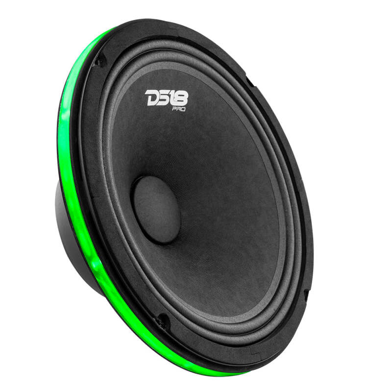 DS18 10in Speaker And Subwoofer Ring w/ RGB LED Lights