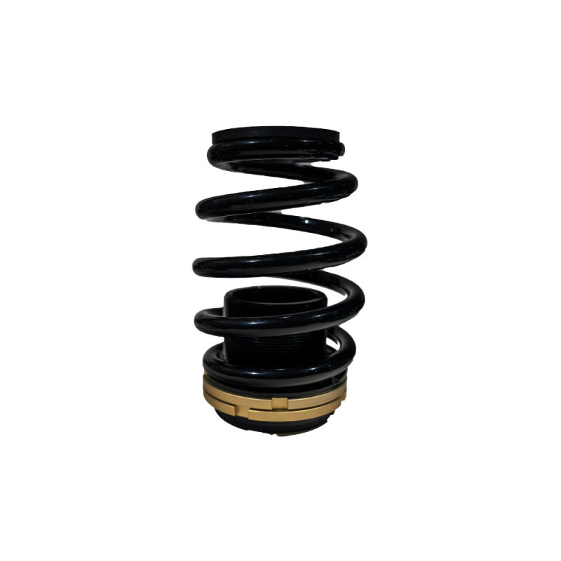 BLOX Racing 12-13 Honda Civic Si Plus Series Fully Adjustable Coilovers