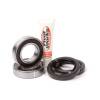 Pivot Works  E-TON RXL 40 VIPER JR (EURO) Rear Wheel Bearing Kit