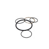 Peterson Fluid Systems Rebuild Kit Swivel w/ Neck
