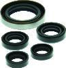 QuadBoss 06-07 Polaris Outlaw 500 Oil Seal Set