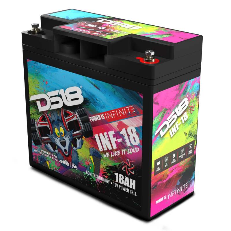DS18 750 Watts 18 AH Infinite AGM Power Cell Battery