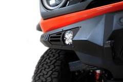 Photo - Close Up