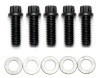 Wilwood Bolt Kit - Wide 5 Drive Flange 12 Point Chrome Moly - 5 pk.