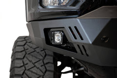 Photo - Close Up