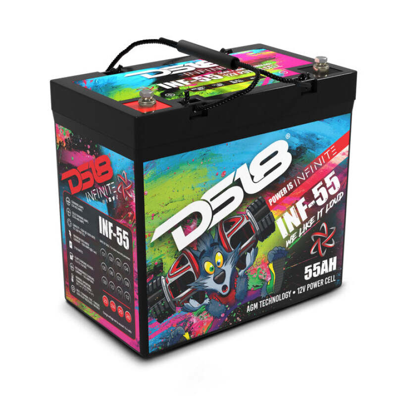 DS18 1750 Watts 55 AH Infinite AGM Power Cell Battery