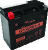 Yuasa GYZ20H-A High Performance Maintenance Free AGM 12-Volt Battery