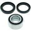 QuadBoss 99-05 Arctic Cat 250 2x4 (02) Front ATV Wheel Bearing & Seal Kit