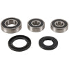 Pivot Works 81-83 Kawasaki KZ1000J Rear Wheel Bearing Kit