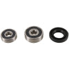 Pivot Works Klx110 Front Wheel Bearing Kit