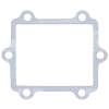 Vertex Reed Gasket