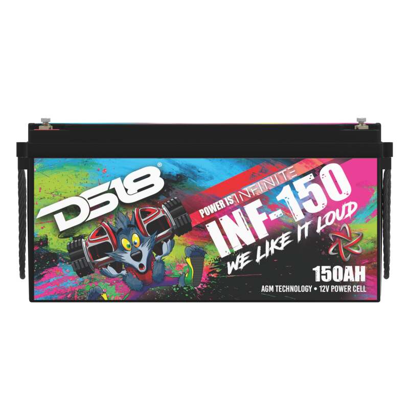 DS18 4000 Watts 150 AH Infinite AGM Power Cell Battery