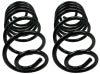 MOOG 78-81 Buick Century Rear Coil Springs