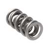 Manley Valve Spring, SPRING-1.500 DOUBLE