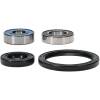 Pivot Works Premium Wheel Bearing