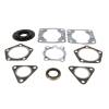 Vertex Gaskets 80-81 Polaris Apollo/Cutlass/Galaxie Complete Gasket Kit w/ Oil Seals