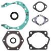 Vertex Gaskets  Sachs 290 SA290SS/SA290R FC1 Complete Gasket Kit w/ Oil Seals