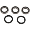 Pivot Works Rear Wheel Bearing Kit Yz450F 09-10