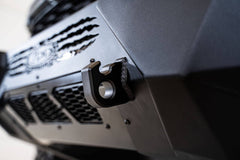 Photo - Close Up