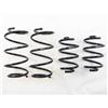 RS-R 13+ Nissan Sentra (TB17 (B17)) Down Sus Springs