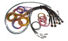 Haltech NEXUS R5 Universal Wire-In Harness - 2.5M (8ft)