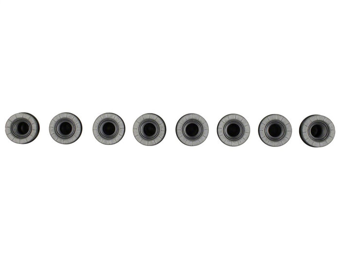 Photo - Primary
