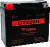 Yuasa GYZ20H High Performance Maintenance Free AGM 12-Volt Battery