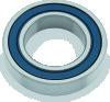 QuadBoss 6200-2RS Bearing 10X30X9