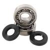 Hot Rods 95-21 KX 100/22-24 KX 112/83-03 KX 60 Main Bearing & Seal Kit