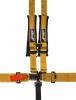 PRP 5.2 Harness - Gold