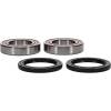 Pivot Works Premium Wheel Bearing