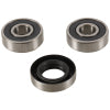 Pivot Works 04-20 Honda CRF50F Rear Wheel Bearing Kit