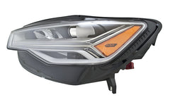 Photo - Close Up