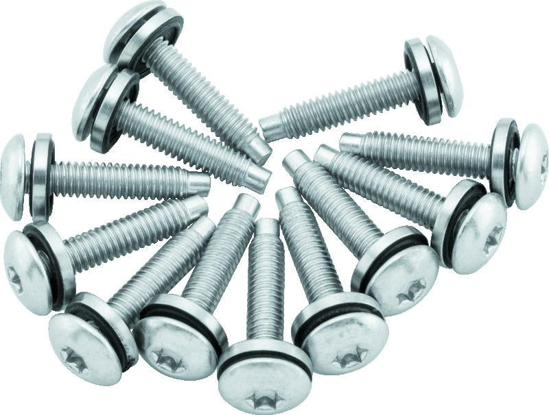 Twin Power 04-17 Dyna Models Fuel Pump Plate Screw Kit Replaces H-D 1331