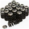 GSC P-D Mitsubishi 4G63T Beehive Valve Springs & Ti Retainer Kit