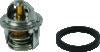 QuadBoss 14-16 Polaris ACE 325 Thermostat