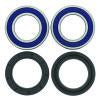QuadBoss 88-98 Suzuki LT-4WD QuadRunner 4x4 Rear ATV Wheel Bearing & Seal Kit