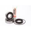 Pivot Works 72-76 Honda XL250 Rear Wheel Bearing Kit