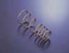 Tein 90-93 Integra H Tech Springs