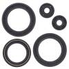 Vertex Gaskets 1993 Polaris 350L 2x4 Oil Seal Kit
