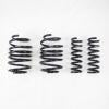RS-R 2023+ Lexus RX350 AWD Down Sus Springs