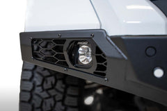 Photo - Close Up