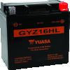 Yuasa GYZ16HL High Performance Maintenance Free AGM 12-Volt Battery