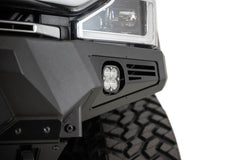Photo - Close Up