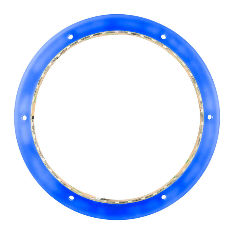 DS18 Marine And Powersports Speakers And Towers Ring 10in RGB LED Lights