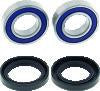 QuadBoss Wheel Bearing Kit